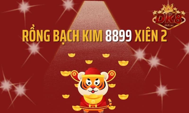 Rồng Bạch Kim 8899 soi cầu xiên 2 có chính xác không?