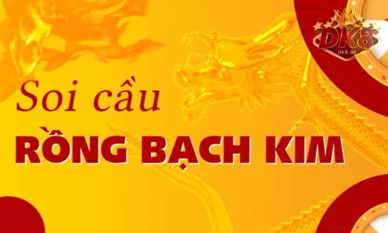 Có nên tham khảo soi cầu chính xác 100 Rồng Bạch Kim hay không?