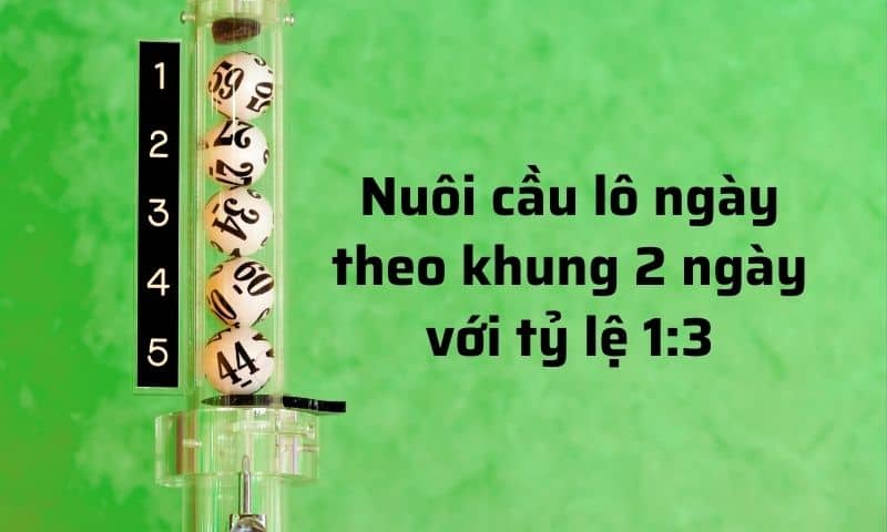 Cầu lô ngày - Cách nuôi cầu lô khung theo ngày hiệu quả 2 Cầu lô ngày mang về lợi nhuận cao