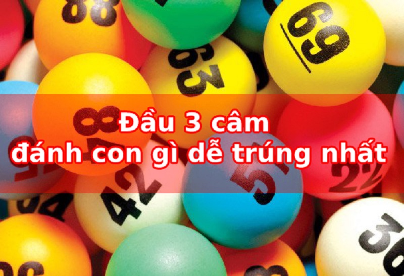 Đầu 3 câm đánh con gì chính xác? Soi cầu dự đoán đề về hôm nay 3 Đầu 3 câm đánh con gì hôm sau tỷ lệ trúng cao?