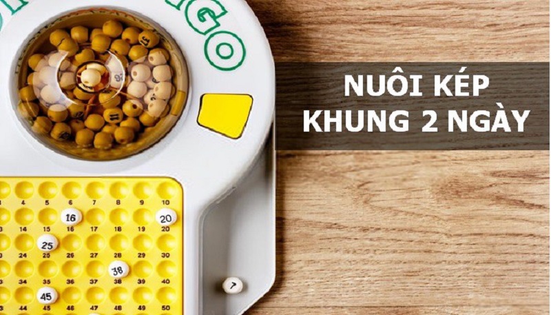 Lô kép nuôi khung 2 ngày rồng bạch kim được nhiều anh em rất ưa thích lựa chọn