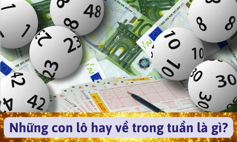 Những con lô hay về trong tuần là gì?