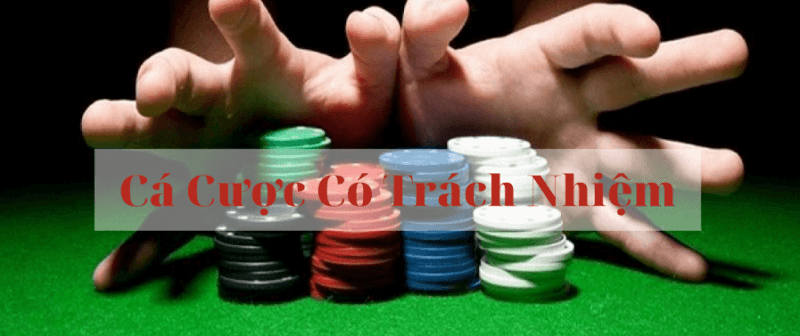 Tham gia cá cược có trách nhiệm nhà cái như thế nào? 1 ca cuoc co trach nhiem